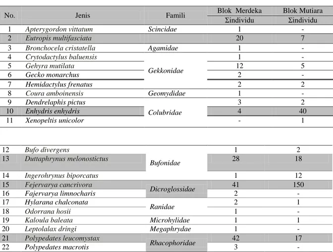Tabel 1 Komposisi jenis dan individu herpetofauna di lokasi penelitian 