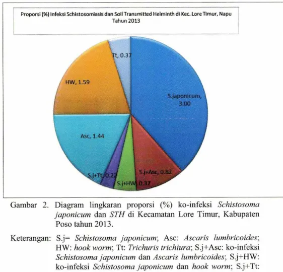 Gambar 2. Diagram lingkaran proporsi (%) ko-infeksi  Schistosoma  japonicum  dan  STH di Kecamatan Lore Timur, Kabupaten  Poso tahun 2013