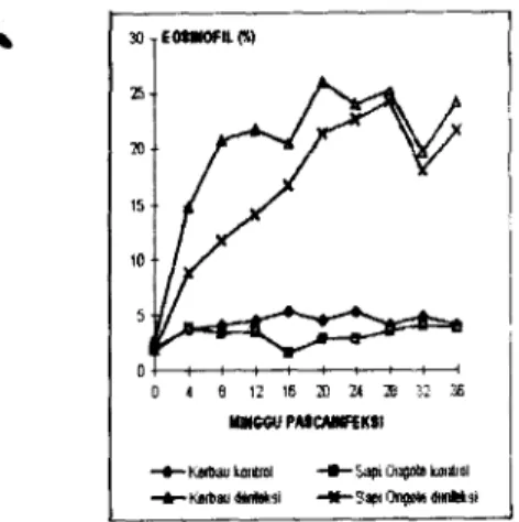 Gambar 1. Nilai rata-rata eosinofil (%) dari kerbau dan Sapi Ongole yang tidak diiilfeksi dan diinfeksi berulang dengan F