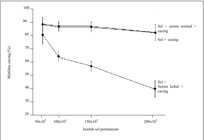 Gambar 2. Tingkat kematian larva cacing Fasciola gigantica setelah penambahan sel peritoneum domba ekor tipis