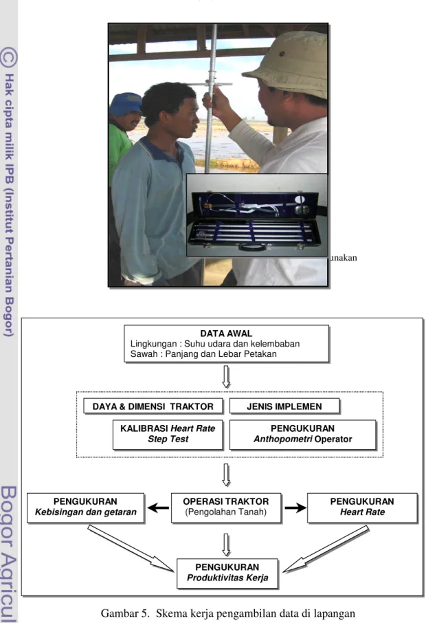 Gambar 4.  Pengukuran anthropometri operator menggunakan          anthropolometer   