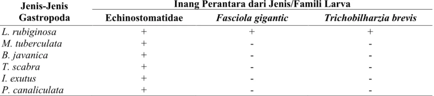 Tabel 2. Jenis/Famili Larva (Serkaria) Trematoda Dan Prevalensinya Pada Beberapa Jenis Gastropoda Air Tawar Di Berbagai Macam Habitat