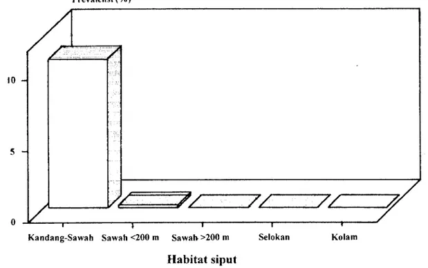 Gambar 1 . Angka prevalensi infeksi larva Fasciola gigantica pada siput Lymnaea rubiginosa dari berbagai habitat
