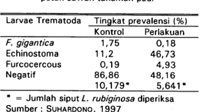 Tabel 1 . Tingkat prevalensi infeksi oleh larvae trematoda pada siput Lymnaea rubiginosa pada kedua kelompok