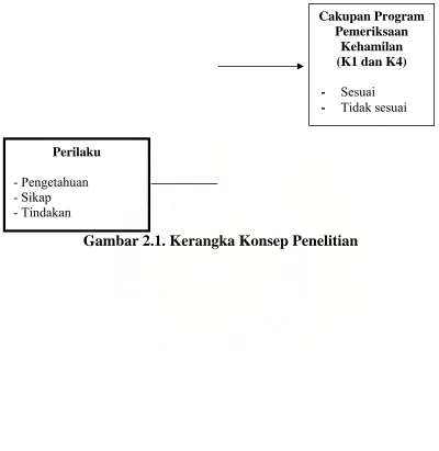 Gambar 2.1. Kerangka Konsep Penelitian 