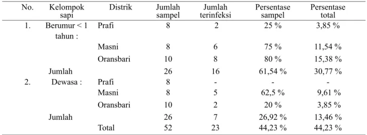 Tabel 2.   Frekuensi kejadian infeksi   nematoda berdasarkan kelompok sapi (sapi anakan dan sapi dewasa) di  Distrik Prafi, Masni dan Oransbari.