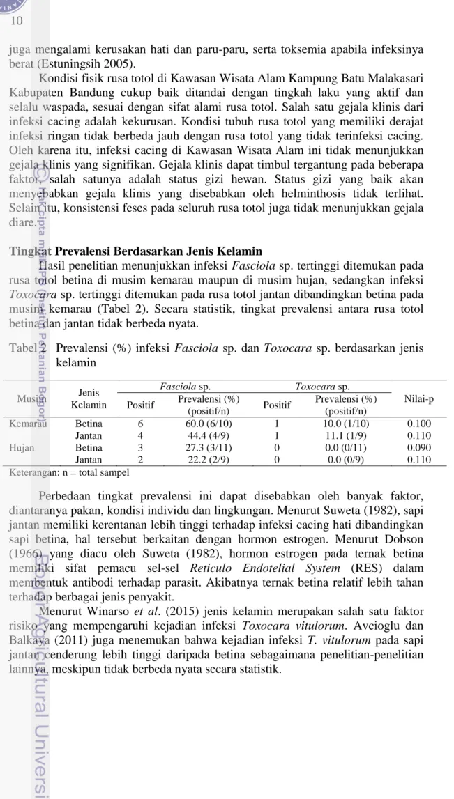 Tabel 2  Prevalensi  (%)  infeksi  Fasciola  sp.  dan  Toxocara  sp.  berdasarkan  jenis  kelamin  Musim  Jenis  Kelamin  Fasciola sp