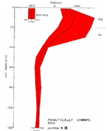 Gambar  1.  Profil Eh bahan sulfidik dalam kondisi reduksi kuat pada kedalaman  40  cm,    variasi  Eh  terjadi  di  jaringan  perakaran  mangrof  di  atas  40  cm (Sumber: Van Mensvoort dan Dent, 1998) 