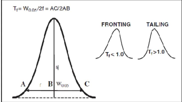 Gambar 2.5 Perhitungan tailling factor (T f ) (Ahuja and Dong, 2005). 