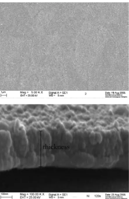 Gambar 3. Mikrograf mikroskop elektron (SEM)  pada permukaan dan tampang lintang lapisan nikel  yang dideposisikan keatas substrat pelat tembaga
