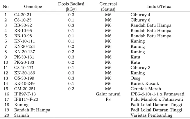 Tabel 2. Analisis ragam pengaruh genotipe, lokasi, dan interaksi G x E terhadap komponen hasil  dan hasil padi dataran tinggi 