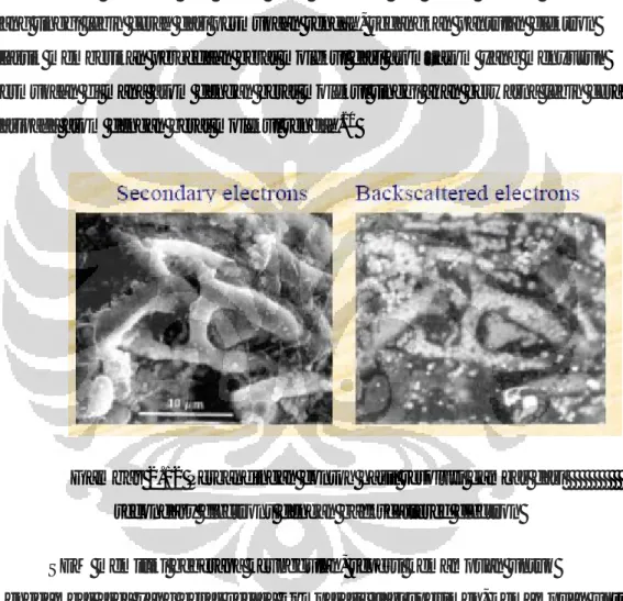 Gambar 2.12 Perbandingan contoh hasil resolusi gambar dari                  secondary electrons dengan backscattered electron 