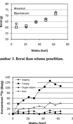 Gambar 3. Berat ikan selama penelitian. 