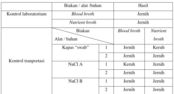 Tabel 10. Hasil biakan kontrol setelah diinkubasi selama 24 jam 