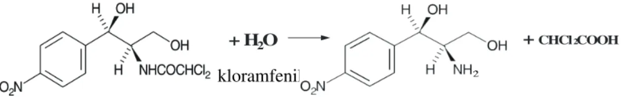 Gambar 2.2 Reaksi hidrolisis kloramfenikol 