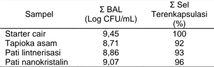 Tabel 1.  Jumlah  sel  bakteri  asam  laktat  setelah  enkapsulasi  Sampel  Σ BAL  (Log CFU/mL)  Σ Sel  Terenkapsulasi  (%)  Starter cair  9,45  100  Tapioka asam  8,71  92  Pati lintnerisasi  8,86  93  Pati nanokristalin  9,07  96 