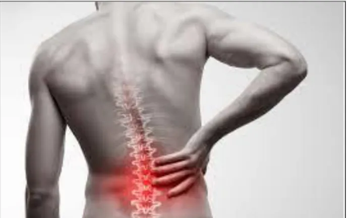 Gambar 10. Low back pain  (healinghandsosteopathy.com, 2021) 