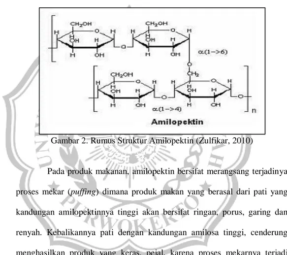 Gambar 2. Rumus Struktur Amilopektin (Zulfikar, 2010) 