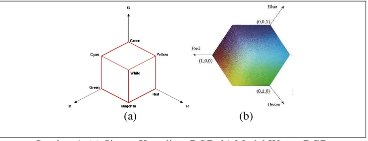 Gambar 4. (a) Sistem Koordinat RGB (b) Model Warna RGB 