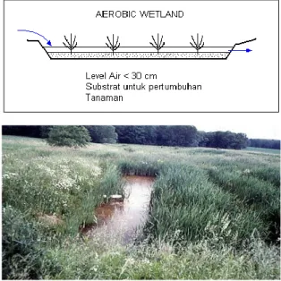 Diagram  penampang  sederhana  sistem  Anaerobic  Wetland dapat dilihat pada Gambar 16
