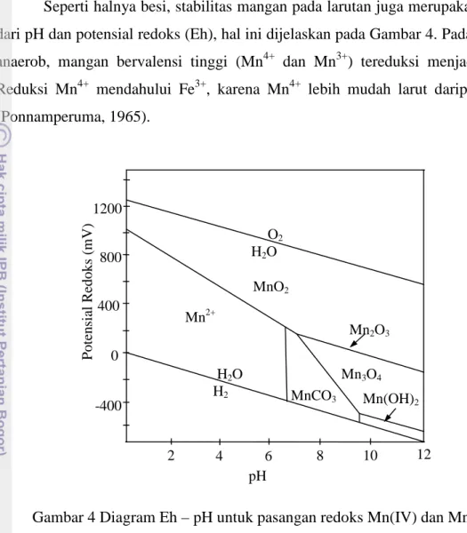 Gambar 4 Diagram Eh – pH untuk pasangan redoks Mn(IV) dan Mn(II) 