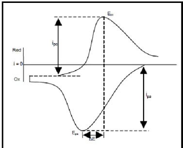 Gambar 4.  Voltammogram siklik (i pa  = arus puncak anodik; i pc  = arus puncak  katodik; E pa  = potensial puncak anodik dan E pc  = potensial puncak  katodik)