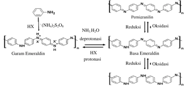 Gambar  13      Sintesis  polianilin  secara  polimerisasi  interfasial.  Reaksi  reversible  garam/basa,  protonasi/deprotonasi,  dan  redoks  polimerisasi  polianilin (Huang dan Karen 2005) 