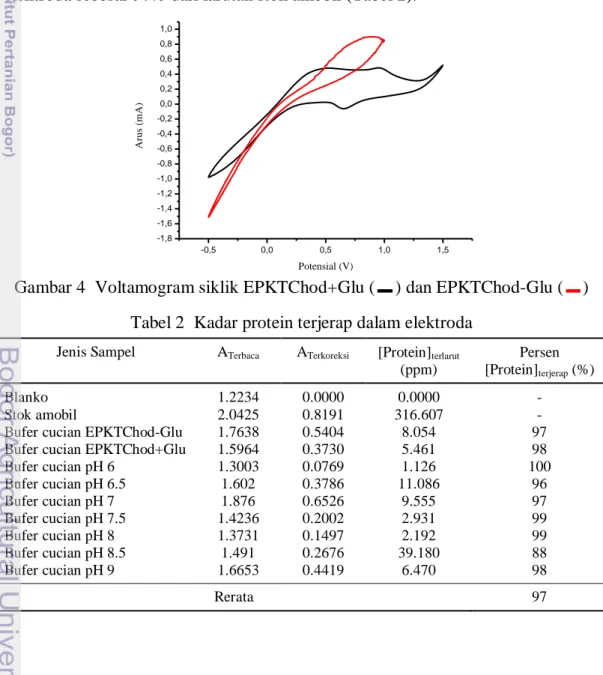 Gambar 4  Voltamogram siklik EPKTChod+Glu ( ) dan EPKTChod-Glu ( )  Tabel 2  Kadar protein terjerap dalam elektroda 