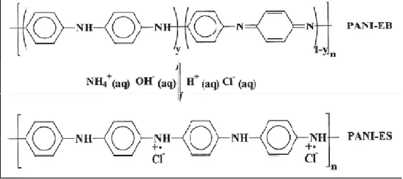 Gambar 1 Reaksi protonasi-deprotonasi polianilin 