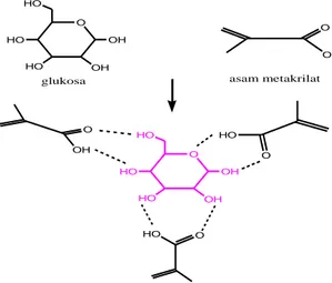 Gambar 1 Perkiraan reaksi antara glukosa dan asam metakrilat 