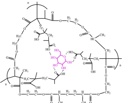 Gambar  2  Perkiraan  polimerisasi  asam  metakrilat  dan  glukosa  saat  ditambahkan  crosslinker EGDMA 