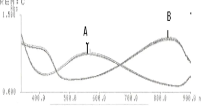 Gambar 2. Spektrum serapan poli o-toluidin A dalam larutan NaOH 0,1 M dan B dalam larutan HCl 0,1 M