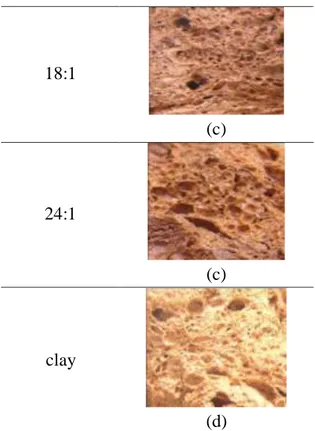Tabel  2.  Penampakan  pori  keramik  bahan  dasar  clay  A  variasi  perbandingan  AM:MBAM  dengan  pembesaran 200 kali 