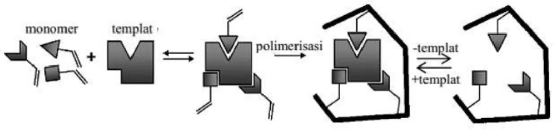 Gambar II.1 Prinsip dasar dari polimer tercetak molekul (Sellergen dan Allender,  2005) 