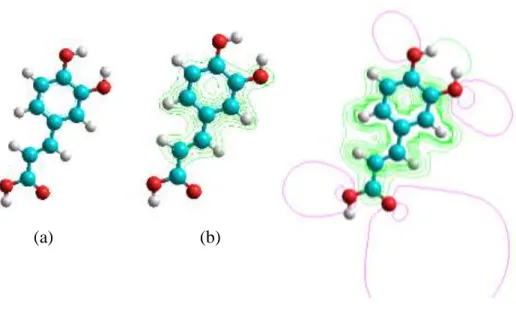 Gambar IV.1. (a) Struktur asam kafeat 3D hasil optimasi (b) peta rapat muatan   total dan (c) peta potensial elektrostatik     