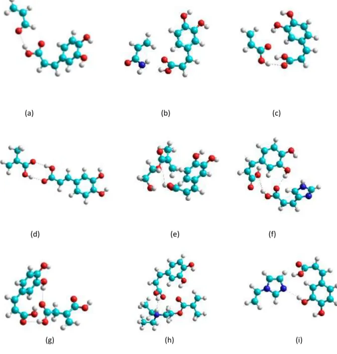 Gambar  IV.4.  Ilustrasi  interaksi  kompleks  antara  asam  kafeat  dengan          monomer  fungsional  :  (a)  akrolein,  (b)  akrilamida,  (c)  asam  akrilat, (d) asam metakrilat, (e) hidroksi etil metakrilat, (f) asam  urokanat, (g) N,N-dietil amino e