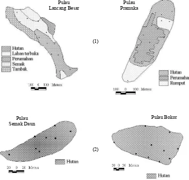 Gambar 10  Penempatan plot pengambilan contoh semut pada pulau dengan jenis penggunaan lahan (1) heterogen dan (2) homogen 