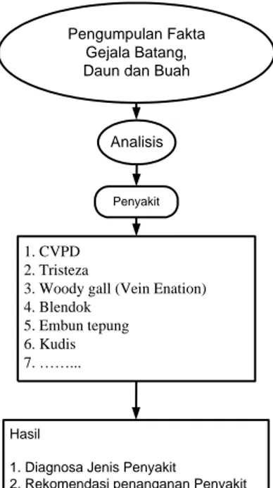 Gambar III.1 Proses Representasi Pengetahuan Sistem Pakar Mendeteksi  Penyakit pada Buah jeruk 