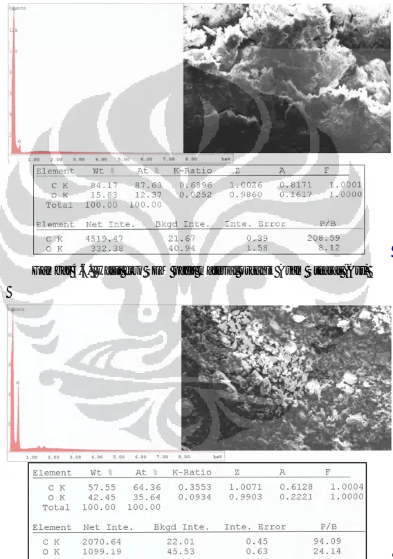 Gambar 4.6.  Hasil foto SEM pada material organik Asam Stearat (Ast) 