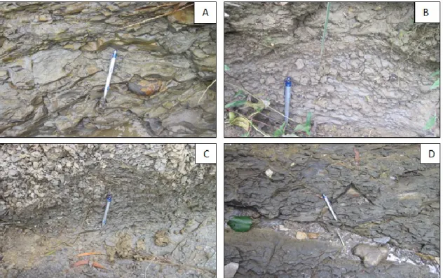 Gambar 4A. Nodul-nodul batupasir yang didapatkan pada singkapan batulempung di lokasi  Sungai Cimarentek, Papayan, B