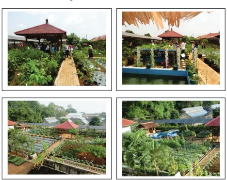 Gambar 3.   Taman Agro Inovasi yang dikembangkan oleh  Balai Besar Pengkajian dan Pengembangan  Teknologi Pertanian 