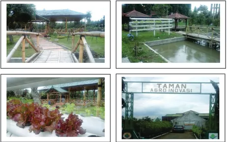 Gambar 4. Taman Agro Inovasi yang dikembangkan oleh  BPTP Jawa Timur 