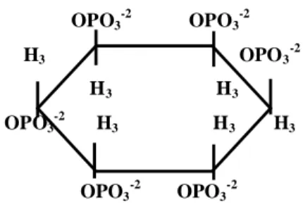 Gambar 1. Mio-inositol heksakisfosfat (asam fitat) (Linder, 1992) 