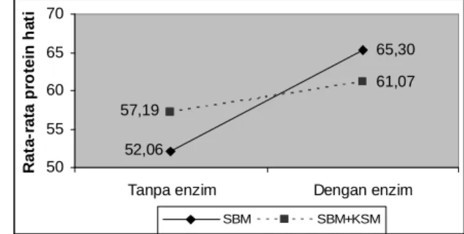 Gambar  6.  Kadar  protein  hati  pada  perlakuan  SBM  dan  SBM+KSM  dengan  dan  tanpa penambahan enzim fitase