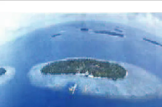 Gambar 1. Pulau Panggang, salah satu pulau di Kepulauan Seribu dilihat dari udara 