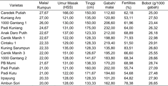 Tabel 3.  Varietas Padi Lokal Asal Sumatera Barat dengan Malai/Rumpun Banyak  (&gt;20 batang/rumpun) Beserta  Karakter  Lainnya, KP Bandar Buat, MK  2012   Varietas  Malai/  Rumpun  Umur Masak (HSS)  Tinggi (cm)  Gabah/ malai  Fertilitas (%)  Bobot (g/1000