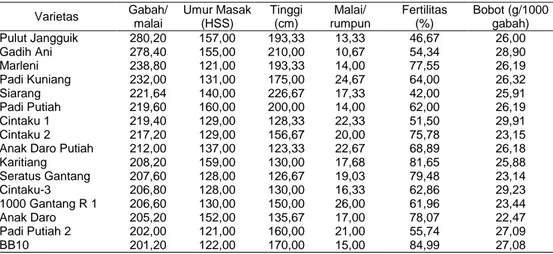 Tabel 4. Varietas  Padi Lokal Asal Sumatera Barat dengan Gabah/Malai Banyak  (&gt;200 Butir/Rumpun) Beserta Karakter Lainnya, KP Bandar Buat, MK 2012  