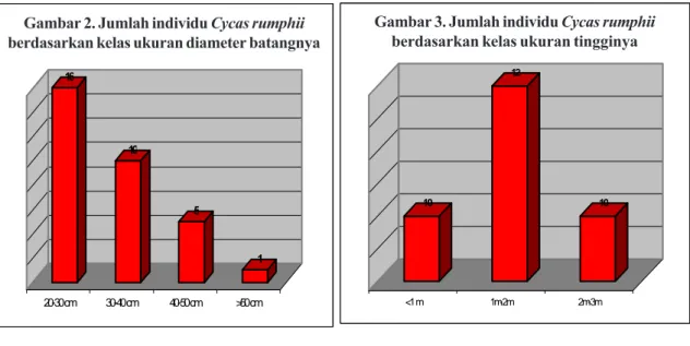 Gambar 2. Jumlah individu Cycas rumphii berdasarkan kelas  ukuran diameter batangnya