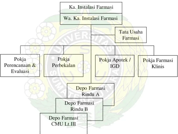 Gambar 3.2. Struktur Organisasi Instalasi Farmasi RSUP H. Adam Malik  3.4.1 Kepala Instalasi Farmasi 