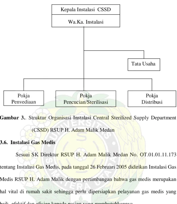 Gambar  3.. Struktur Organisasi Instalasi Central Sterilized Supply Department        (CSSD) RSUP H